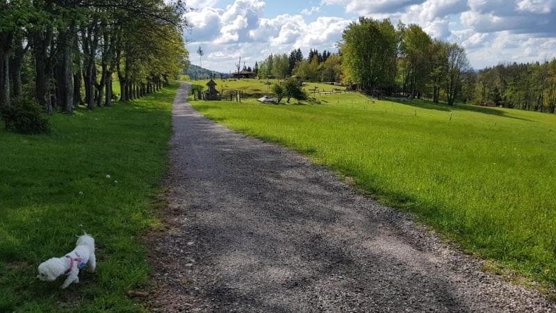 Ubytovani V Soukromi - Apartman Meran Svoboda nad Upou Luaran gambar