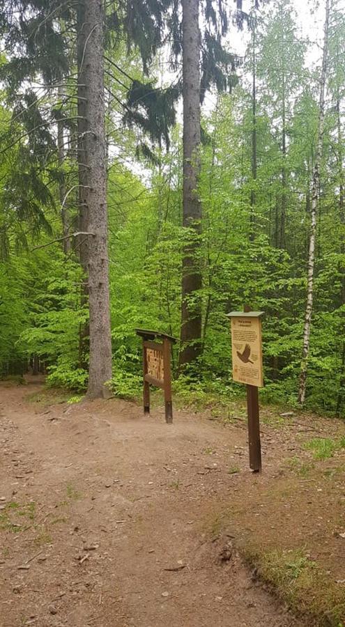 Ubytovani V Soukromi - Apartman Meran Svoboda nad Upou Luaran gambar